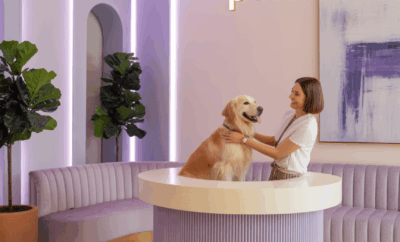 For Dogs One | Alojamiento para mascotas Barcelona