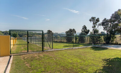 Palau Lord Can | Residencia Canina y Felina