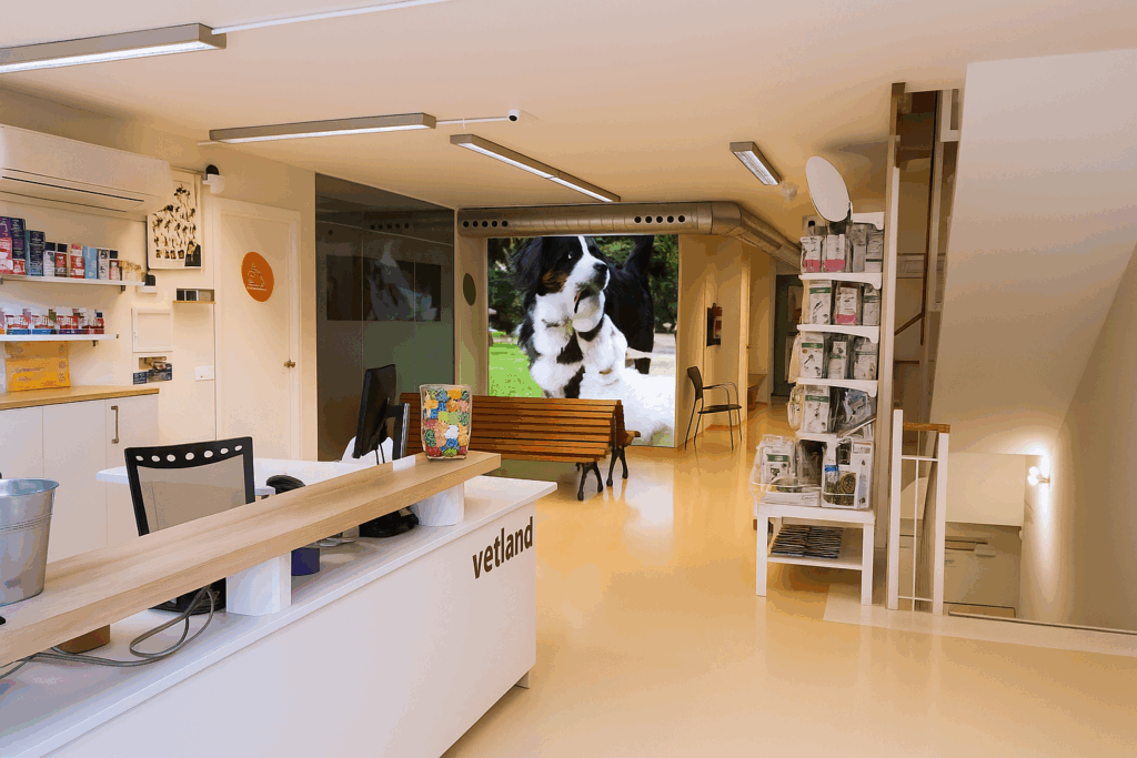 Vetland clinica veterinaria