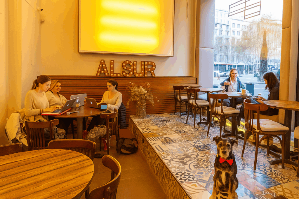 Alsur Cafe restaurant con perro barcelona