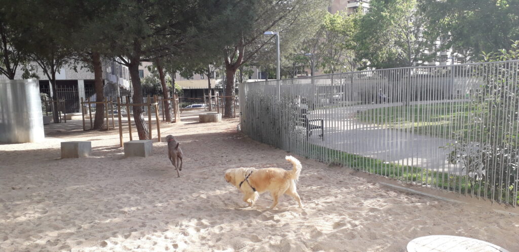 Jardins de Piscines i Esports Barcelona