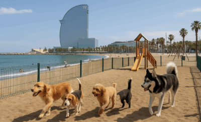 Top 5 parques caninos que todo perro en Barcelona debe conocer