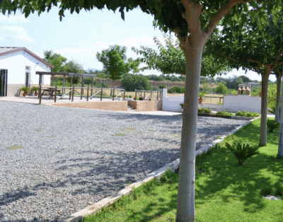 Colita | Residencia Canina