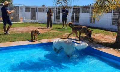 Residencia Canina Valencia El Parque | Hotel Canina