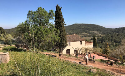 Petjades | Residencia Canina y Felina