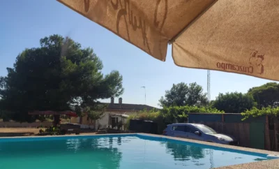 Cenla | Residencia Canina y Felina