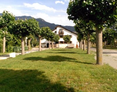 Can Ninos | Residencia Canina y Felina