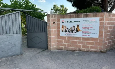 7 Flechas Centro Canino
