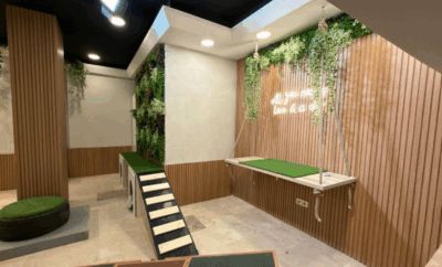 The Place Pet Hotel