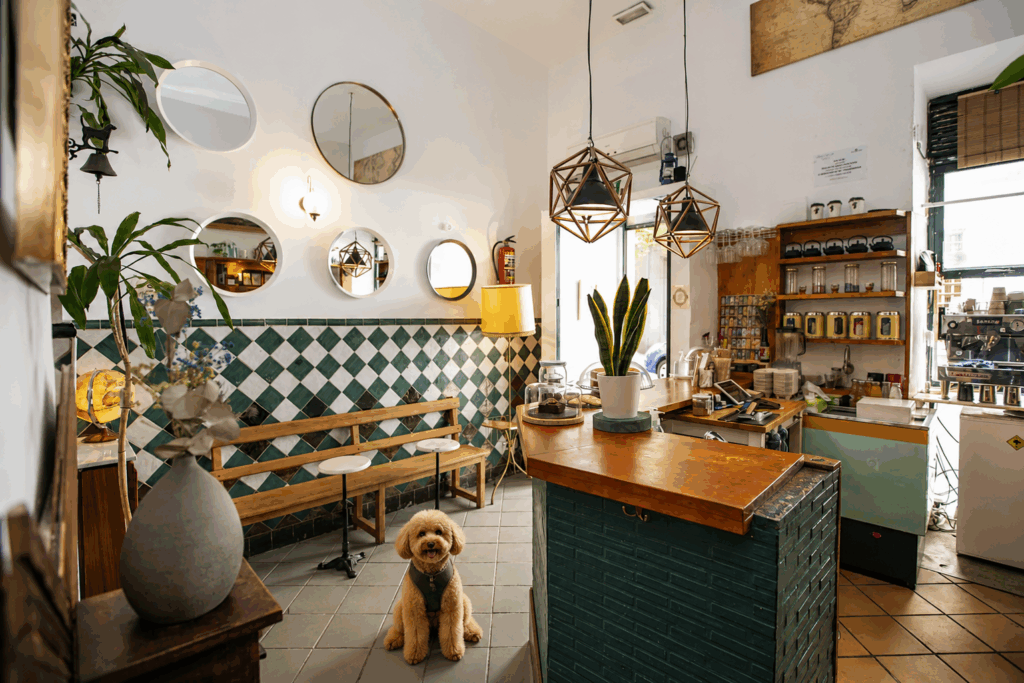 El Perro de Pavlov Café – La Latina pet friendly  Madrid