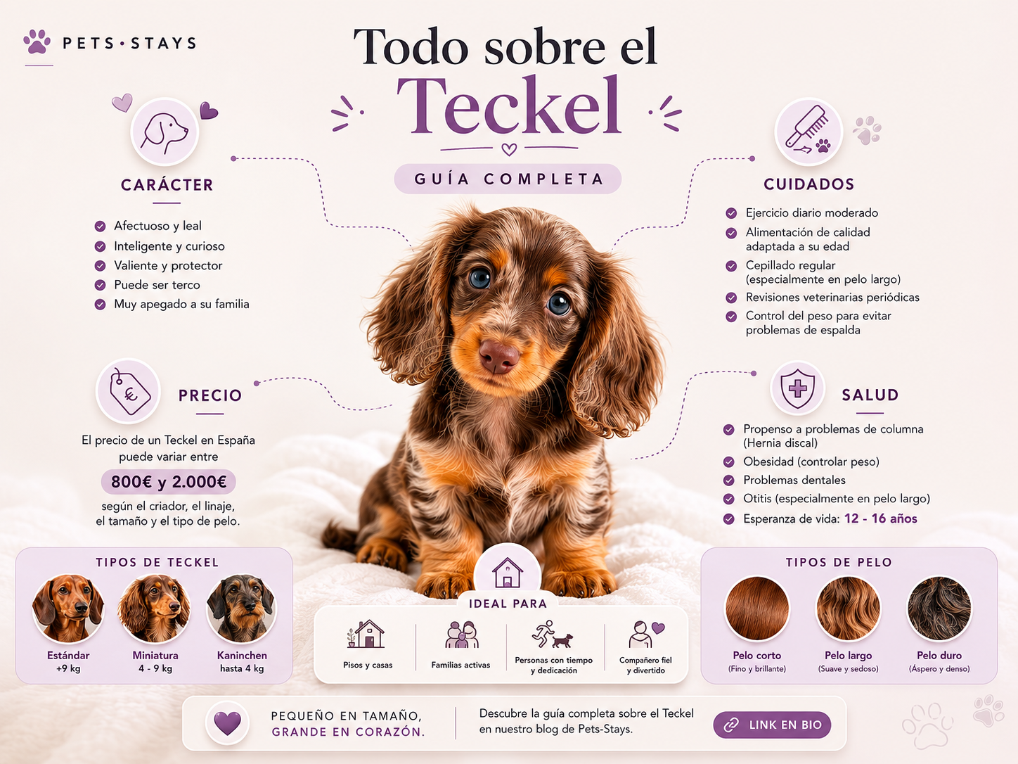 grafica teckel