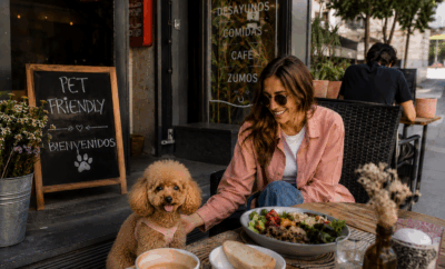 Top 10 restaurantes pet friendly en Madrid que debes conocer