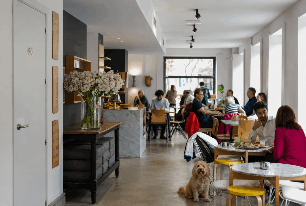 federal cafe madrid pet friendly