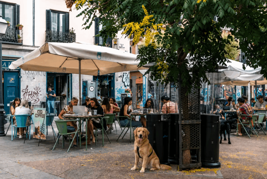 Ojalá Malasaña