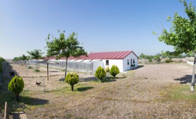 Centro Canino Brunete