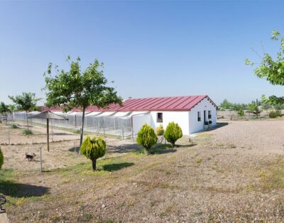 Centro Canino Brunete