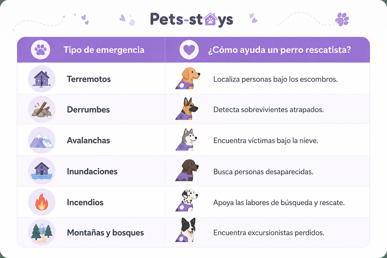 ¿Cómo ayuda un perro rescatista?