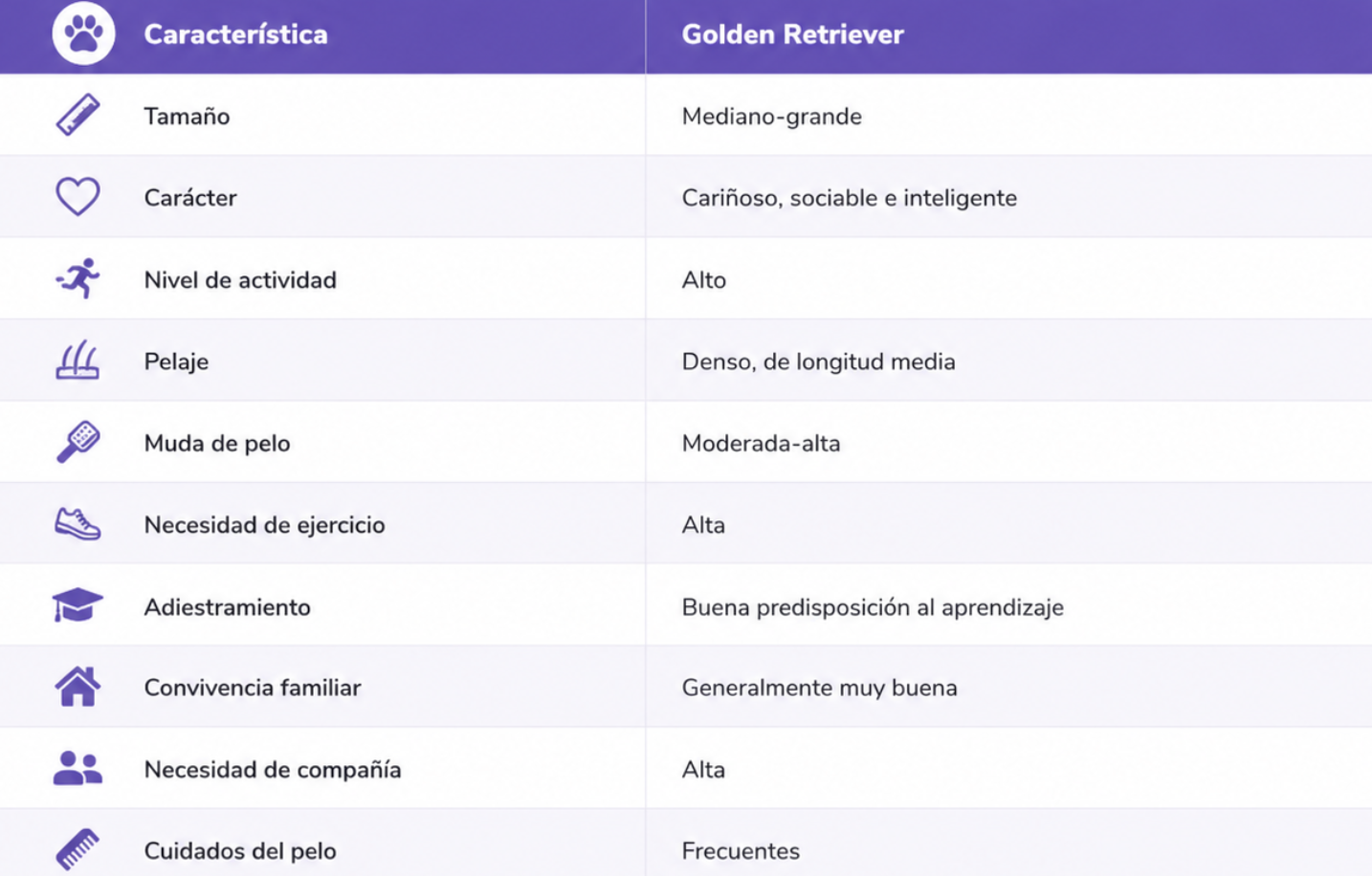Golden Retriever Characteristics Infographic
